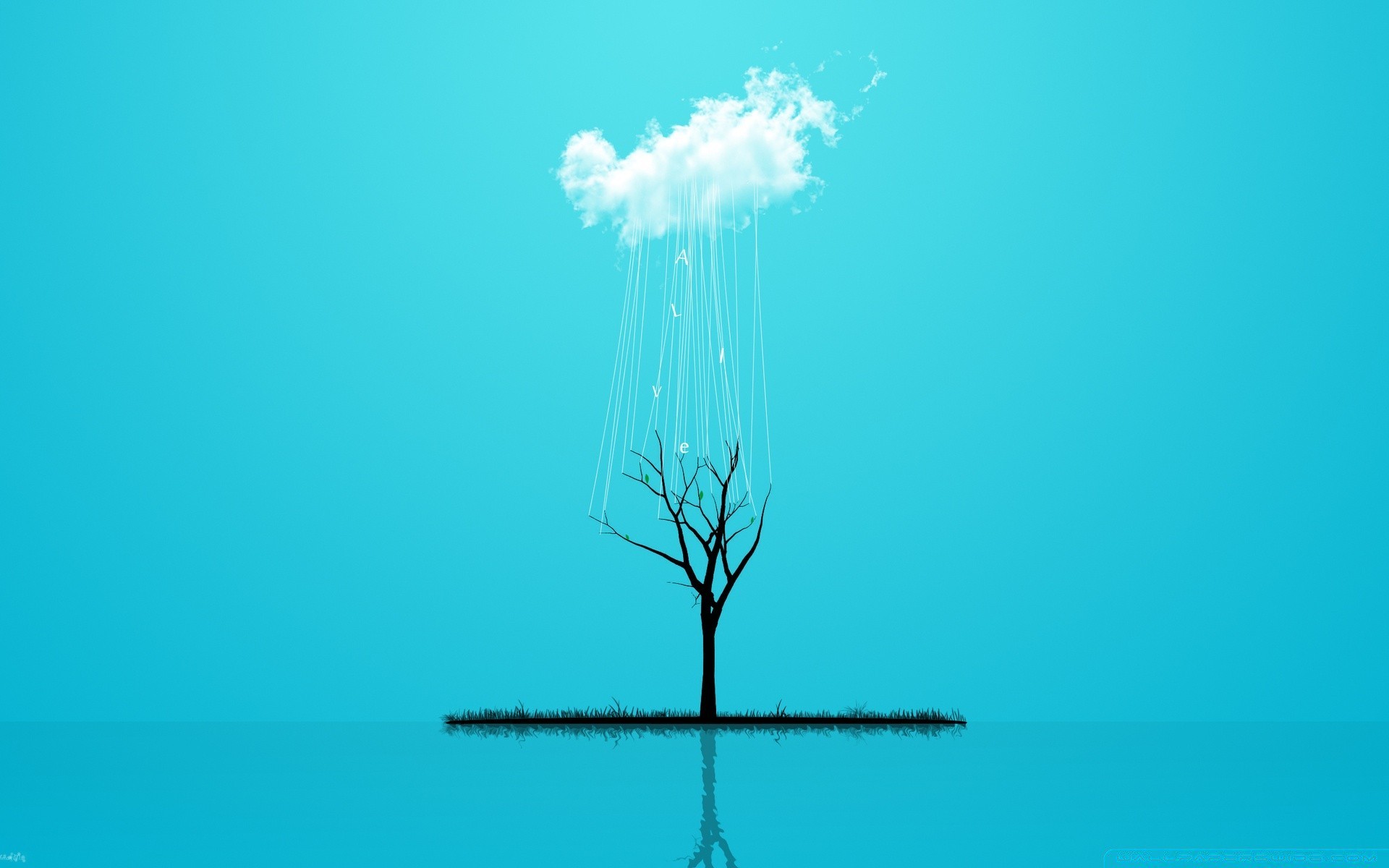 criativo natureza céu água área de trabalho