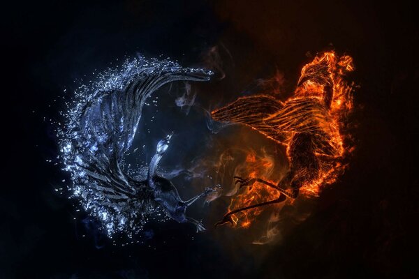 Yin e Yang em sua luta