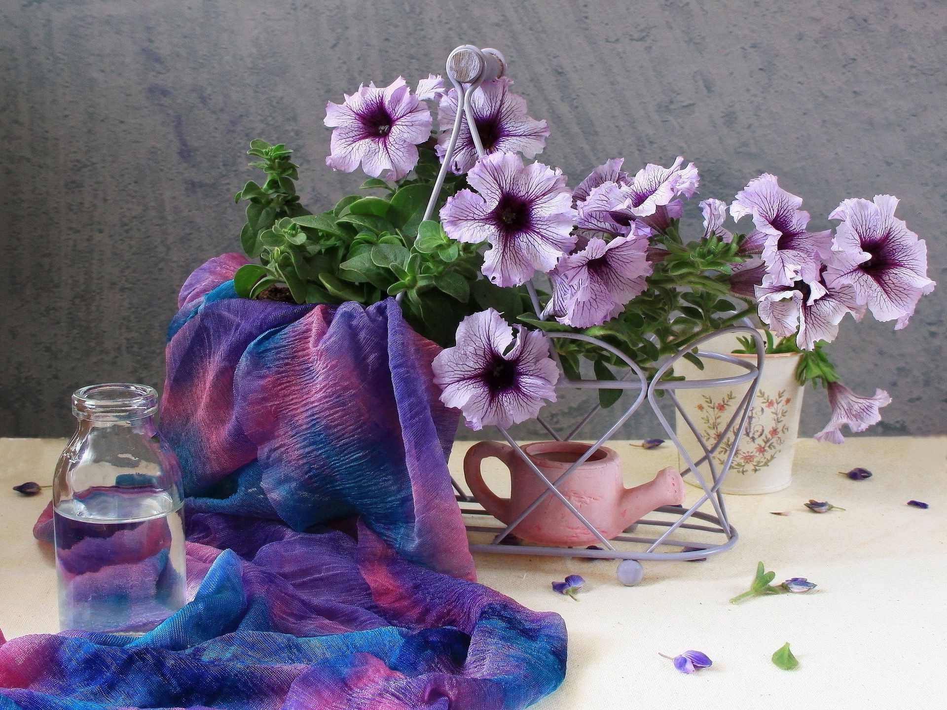flores flor flora decoração cor ainda vida vaso folha floral
