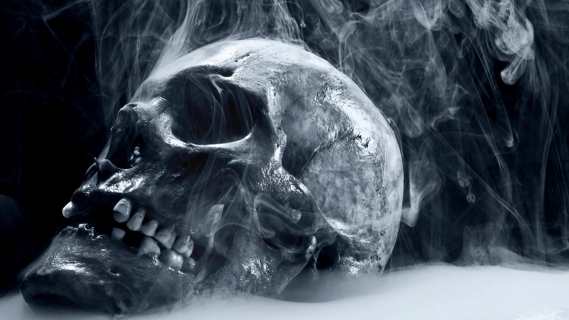 perigo arte halloween crânio terror