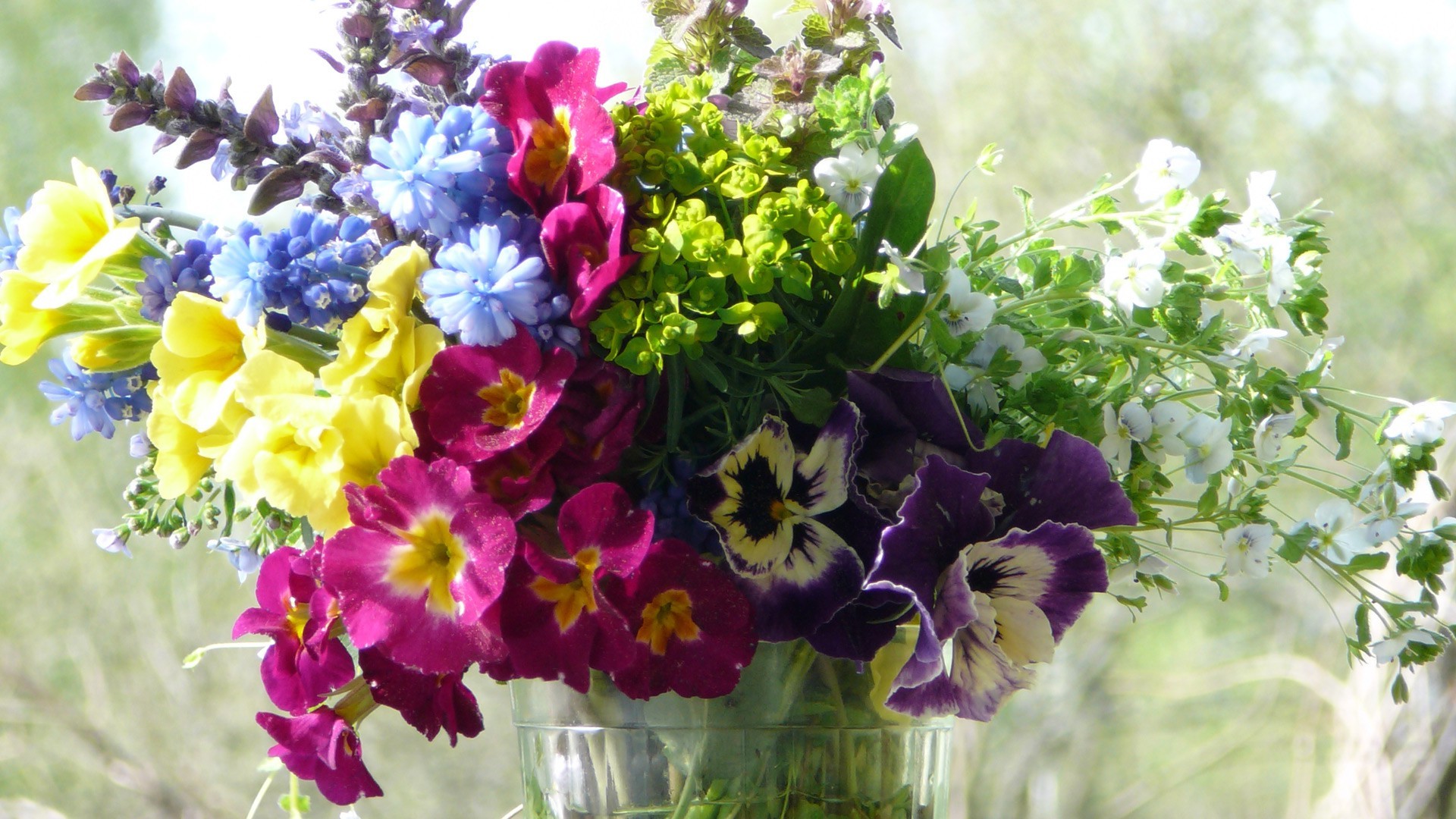 buquê de flores flora natureza flor jardim folha floral verão blooming crescimento pétala violet cor temporada brilhante buquê campo close - up decoração botânico