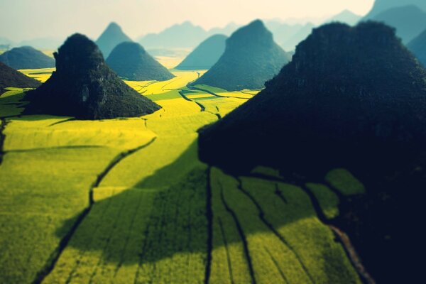 Foto de um campo amarelo entre as montanhas