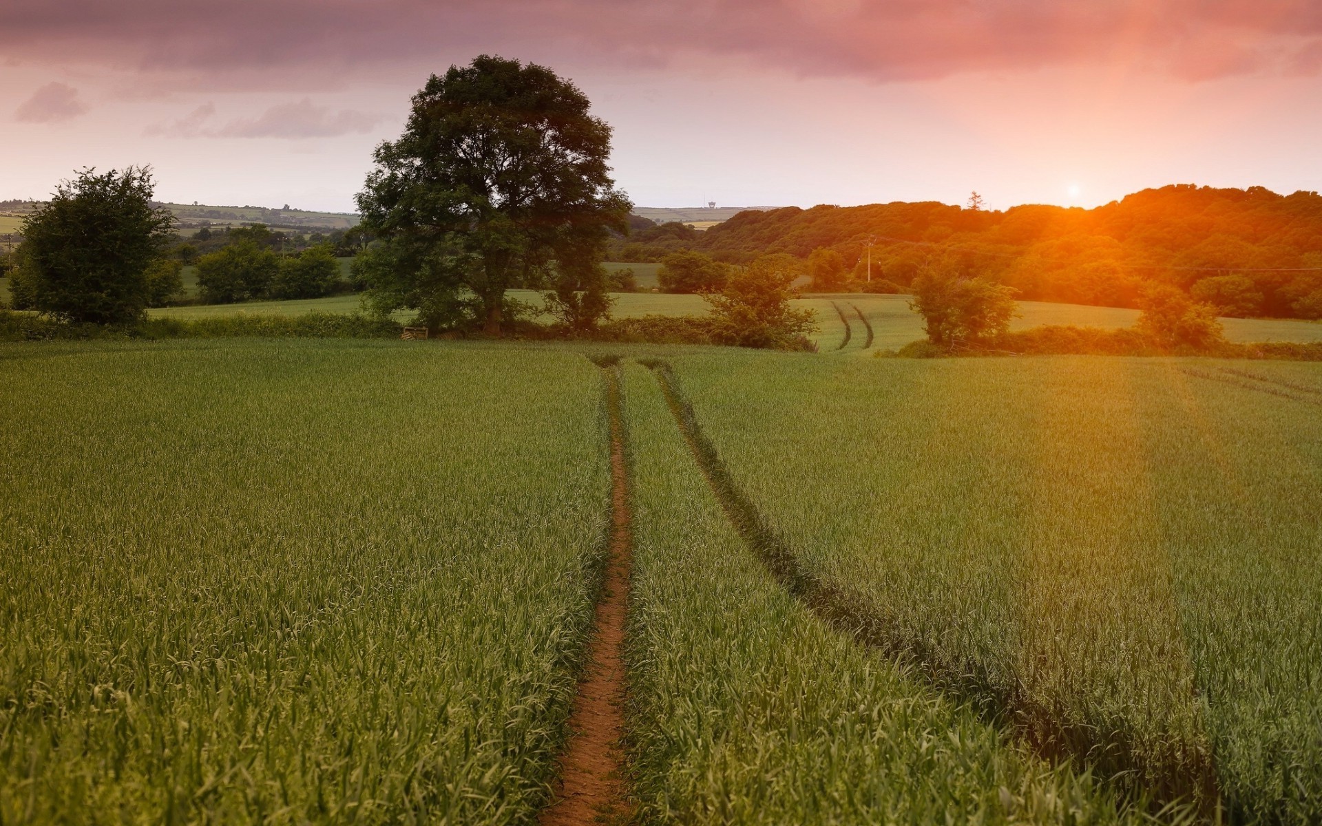 campos prados e vales paisagem campo pôr do sol amanhecer agricultura rural rural terra cultivada natureza céu fazenda país trigo sol ao ar livre grama feno árvore à noite