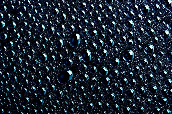 Gotas de orvalho depois da chuva