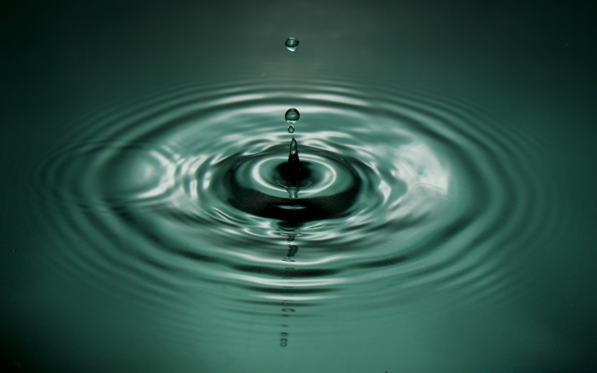 gotículas e água chuva pureza ondulação gota molhado água limpo movimento bolha gotas respingo vertedouro líquido onda momento impacto claro redondo reflexão