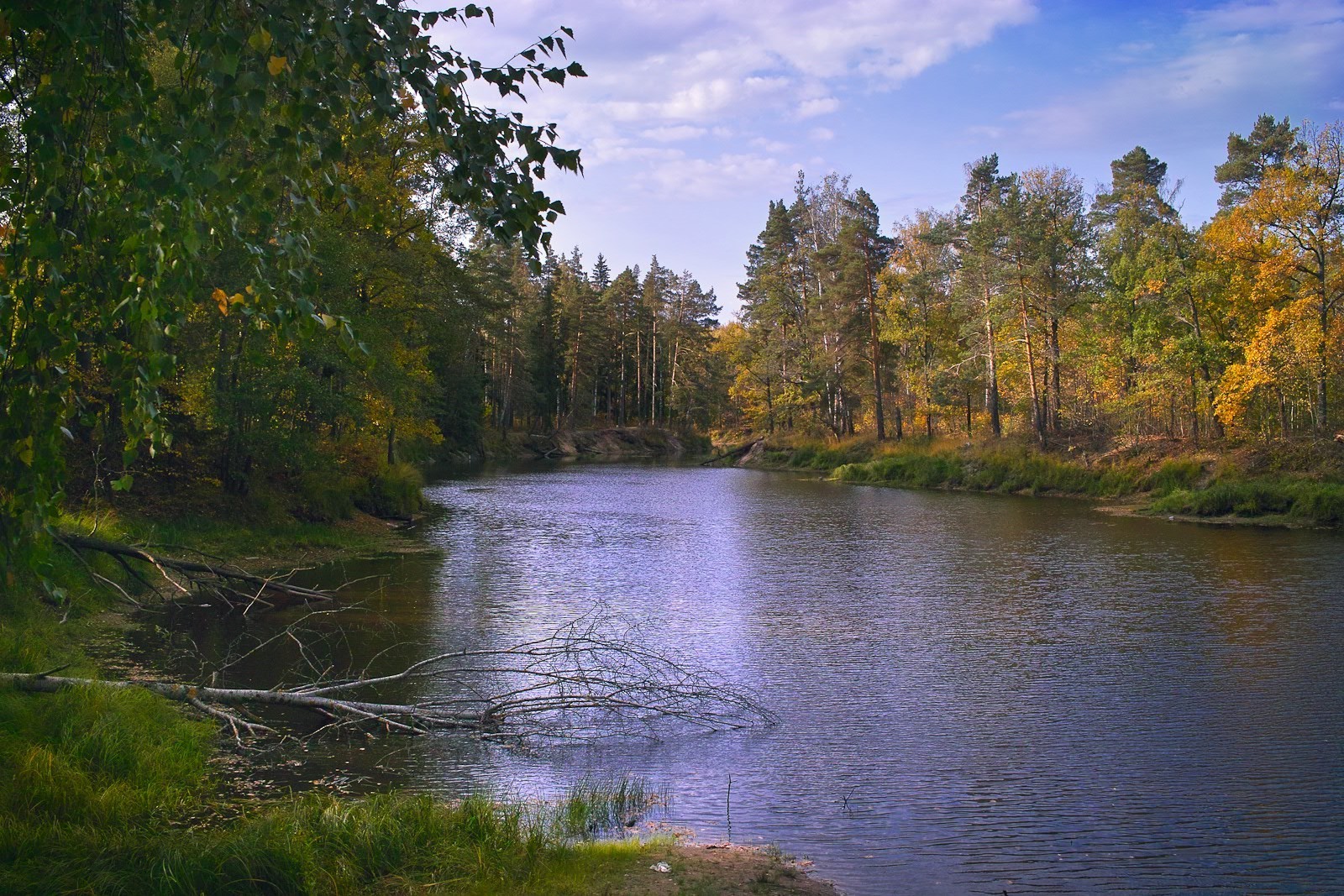 lago água árvore outono rio paisagem natureza madeira reflexão ao ar livre folha cênica céu parque piscina luz do dia compostura viagens