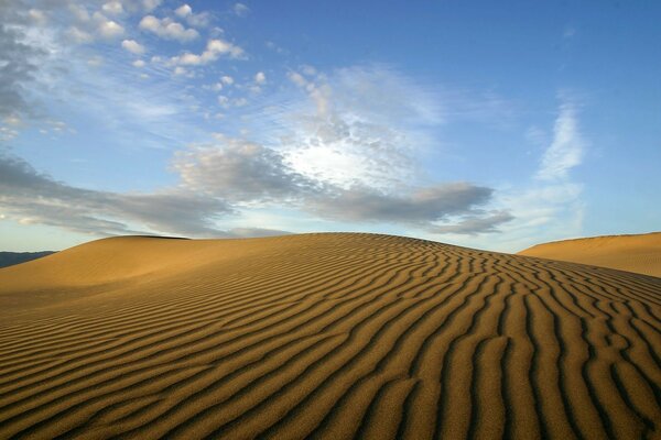 Bela foto do deserto da areia