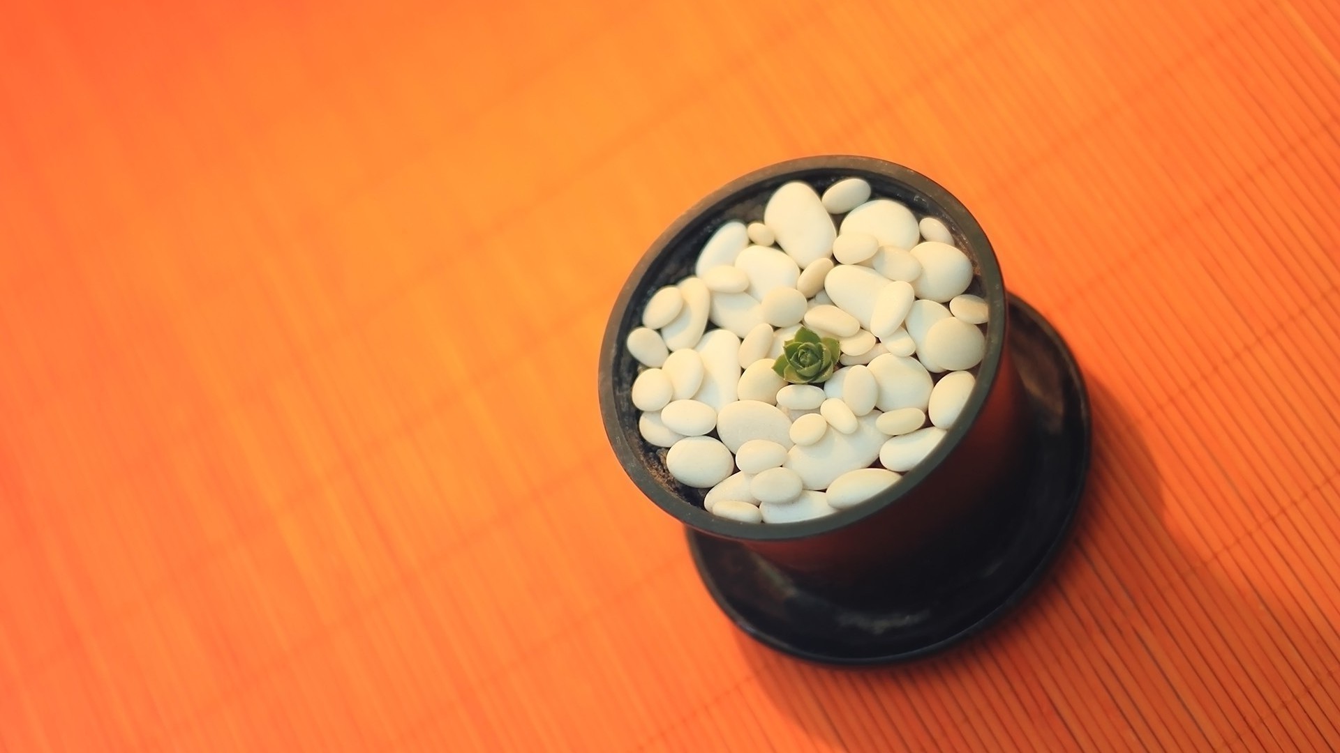 comida medicina desktop saúde tigela madeira ainda vida saudável