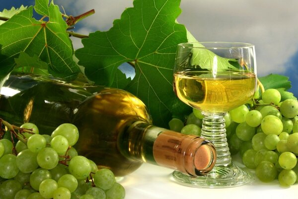 Garrafa e copo de vinho com cachos de uvas