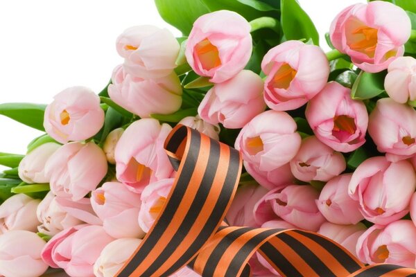 Buquê de tulipas rosa com fita de São Jorge