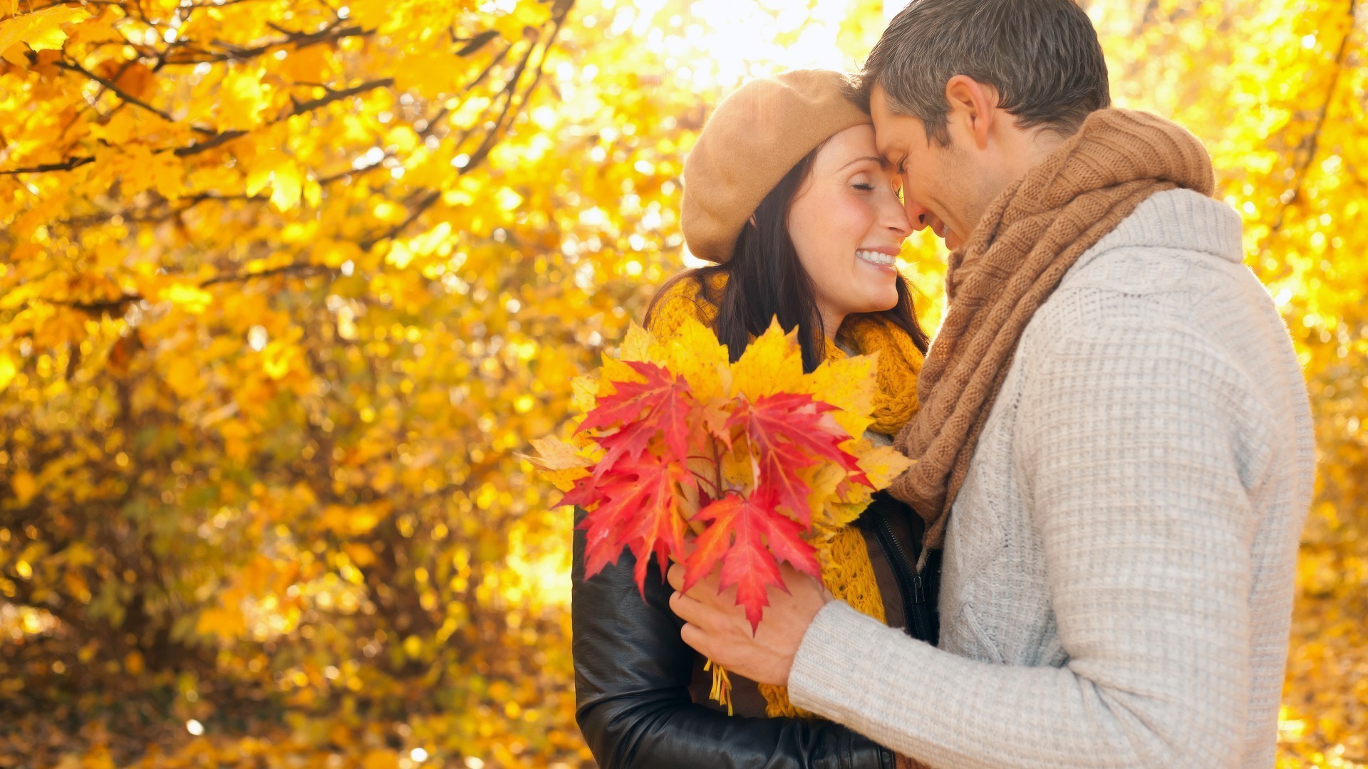 casais outono ao ar livre maple parque natureza amor mulher felicidade folha menina bela dois adulto lazer diversão família pessoa romance sorriso