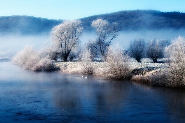 Paisagem de Inverno: lagoas, riachos e árvores