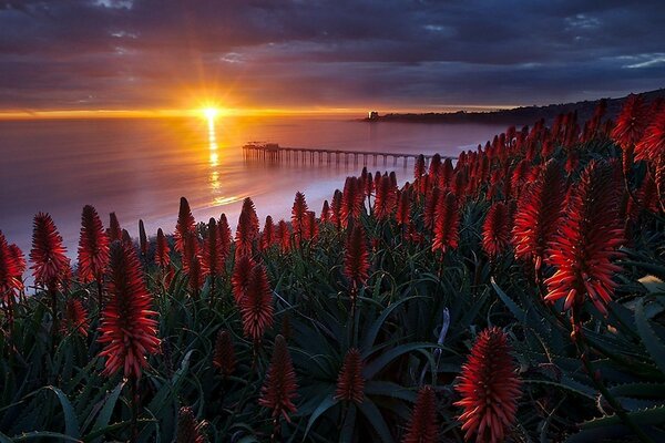 Paisagens noturnas e diurnas: Pôr do sol e amanhecer