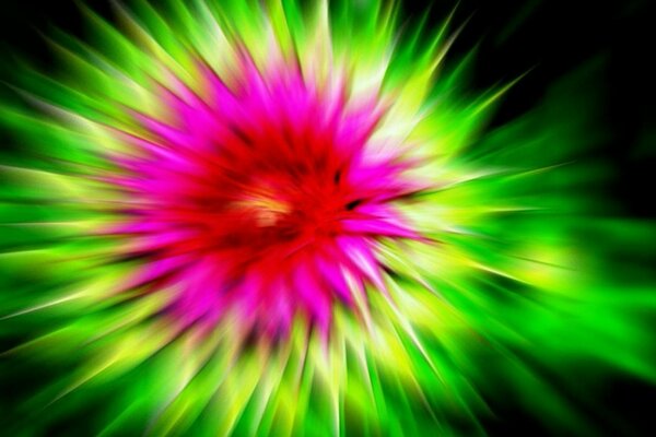 Imagem desfocada de uma flor de bardana, brilhante, mas bardana de uma maneira simples