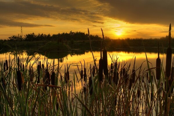 Belo e suculento Pôr do sol na água