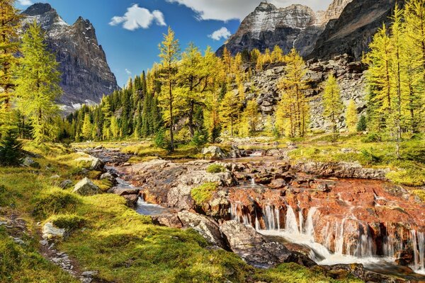 Bela paisagem de outono contra as montanhas