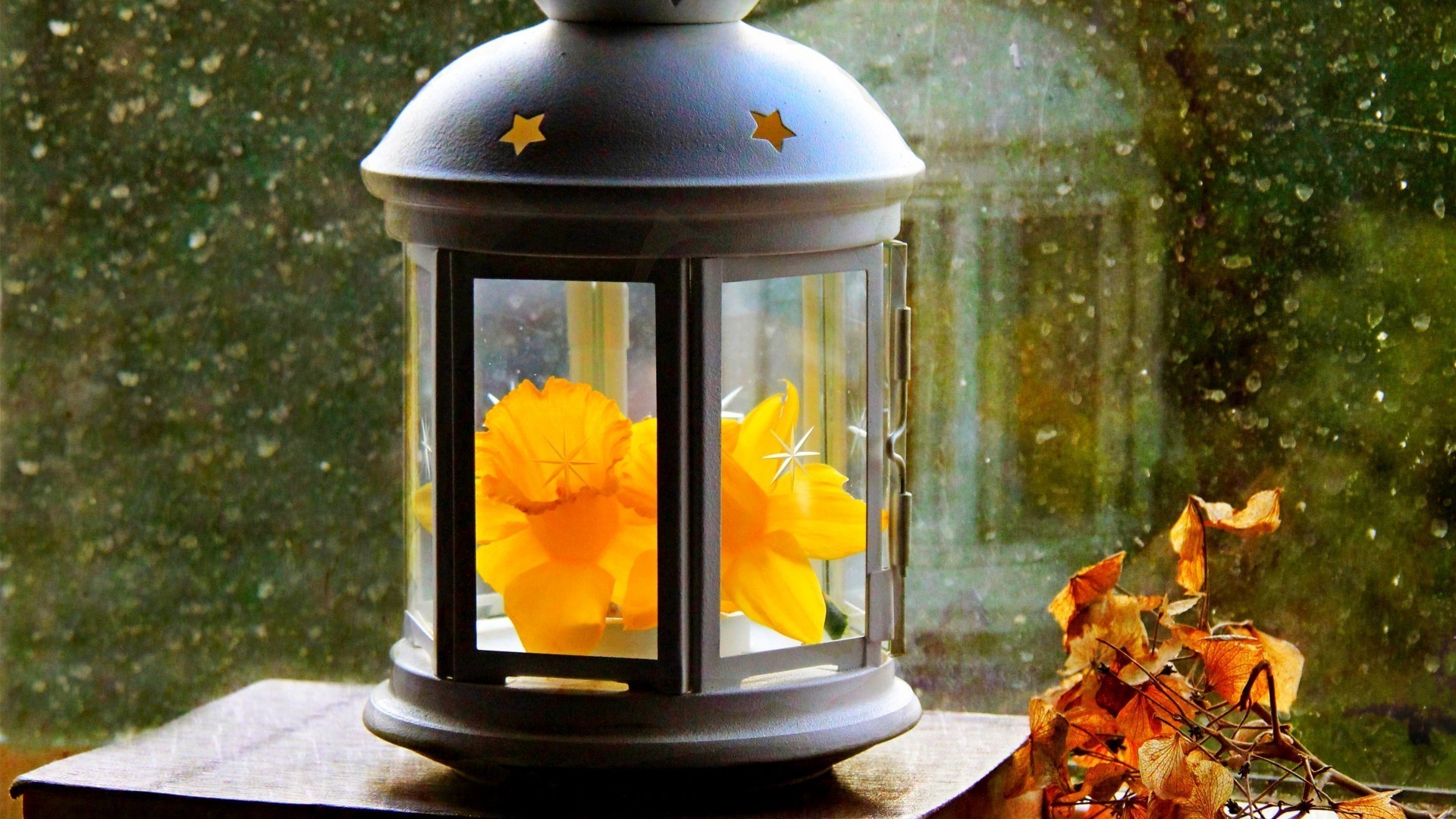 folhas flor madeira lanterna tabela decoração luz luz do dia