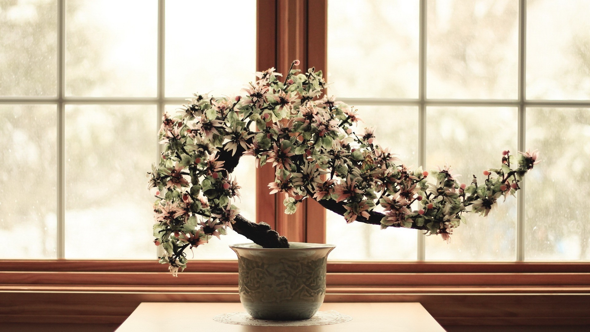 flores nas árvores janela pote flor interior casa planta de casa vaso flora pote móveis jardim decoração pátio design de interiores quarto família folha vidro plantador