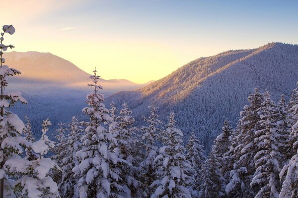Neve de inverno nas montanhas