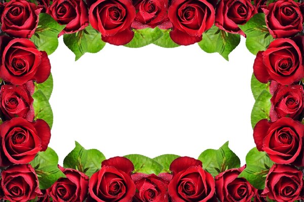 Moldura rosa com fundo em branco