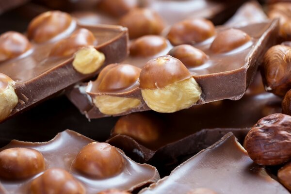 Avelã em chocolate inesquecível
