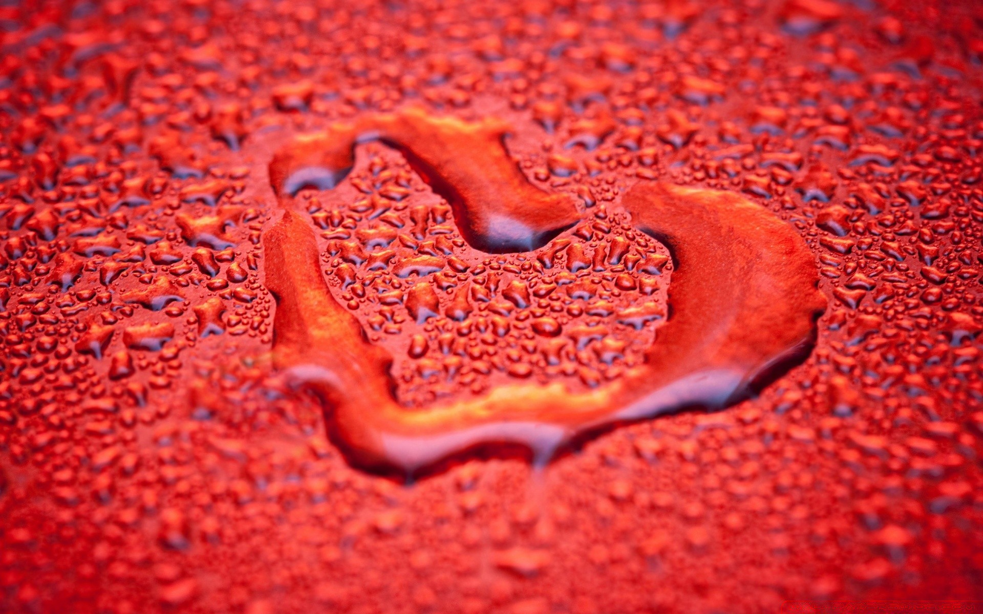 dia dos namorados área de trabalho comida textura close-up abstrato padrão coração cor forma molhado