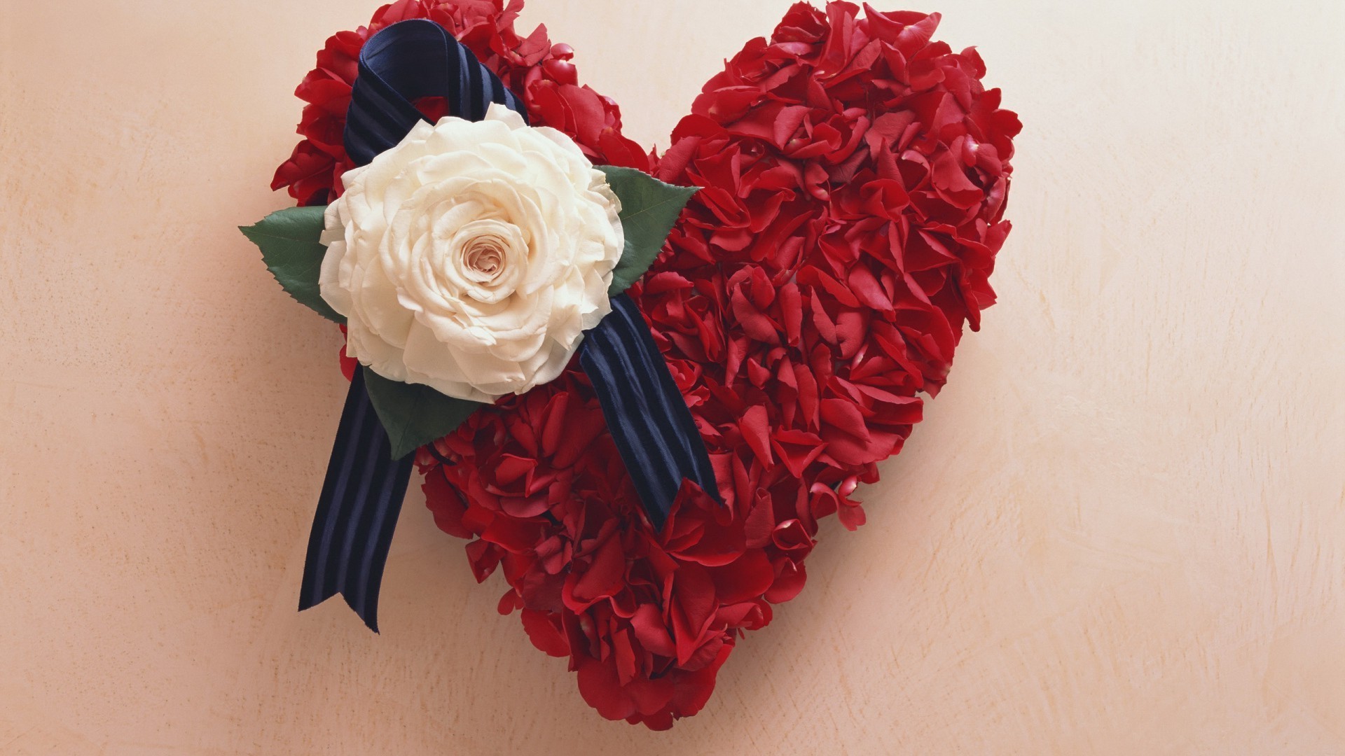 corações rosa amor flor romance casamento presente romântico pétala decoração floral feriado buquê bonita