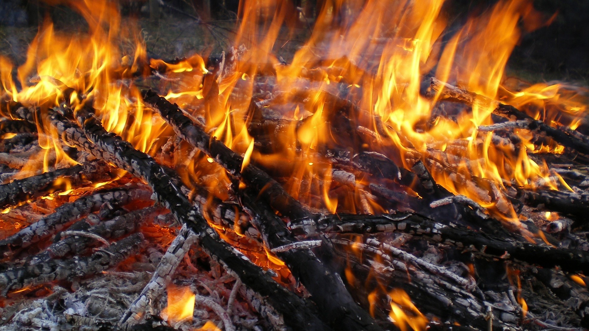 chama fogueira fogueira calor carvão lareira queimar carvão lenha cinza quente inferno calor fumaça explosão inflamável inflamar fogo temperatura acampamento