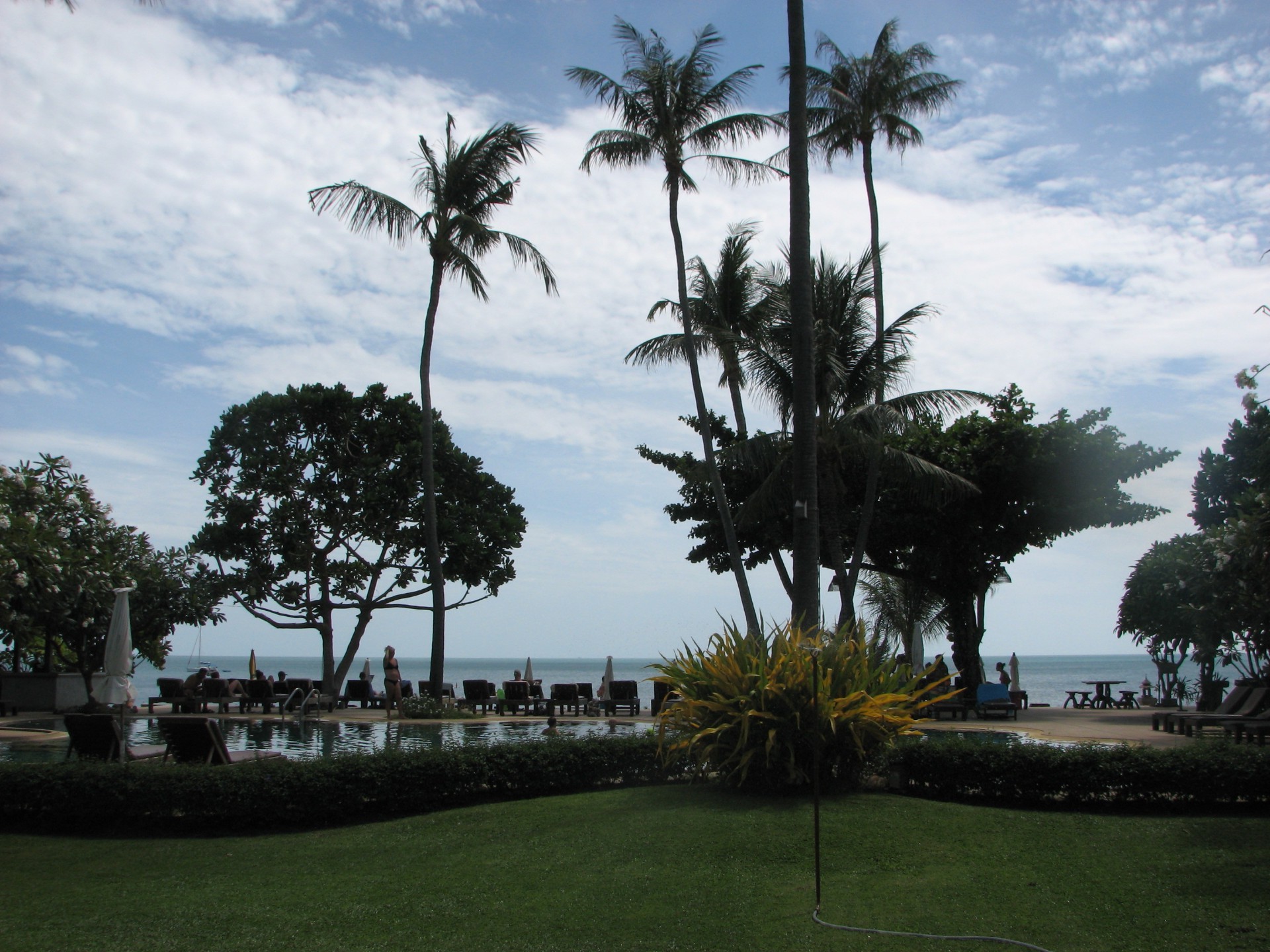 árvore palma resort férias viajar tropical férias hotel férias água luz do dia ilha praia turismo mar ao ar livre céu luxo parque