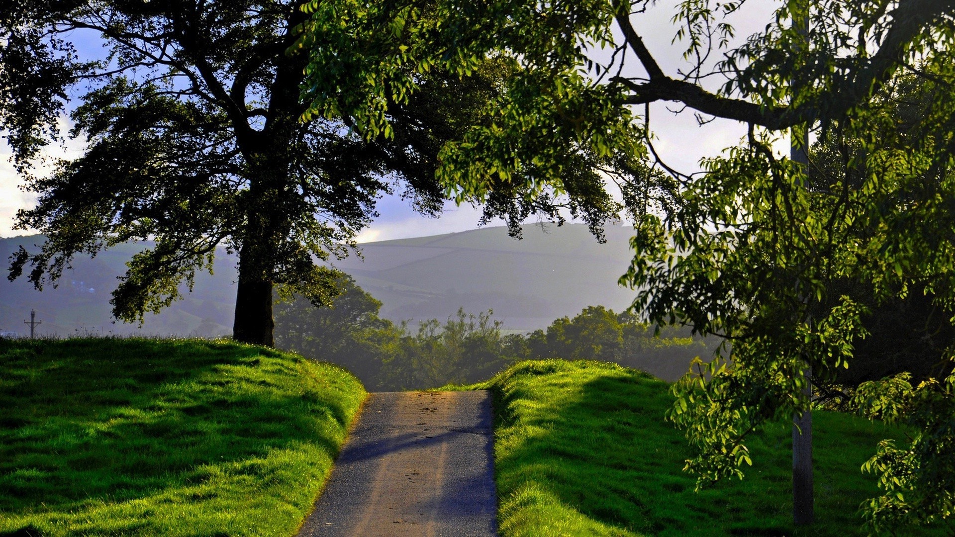 árvore paisagem natureza grama madeira folha cênica parque ao ar livre ambiente exuberante verão ramo flora paisagens campo céu guia