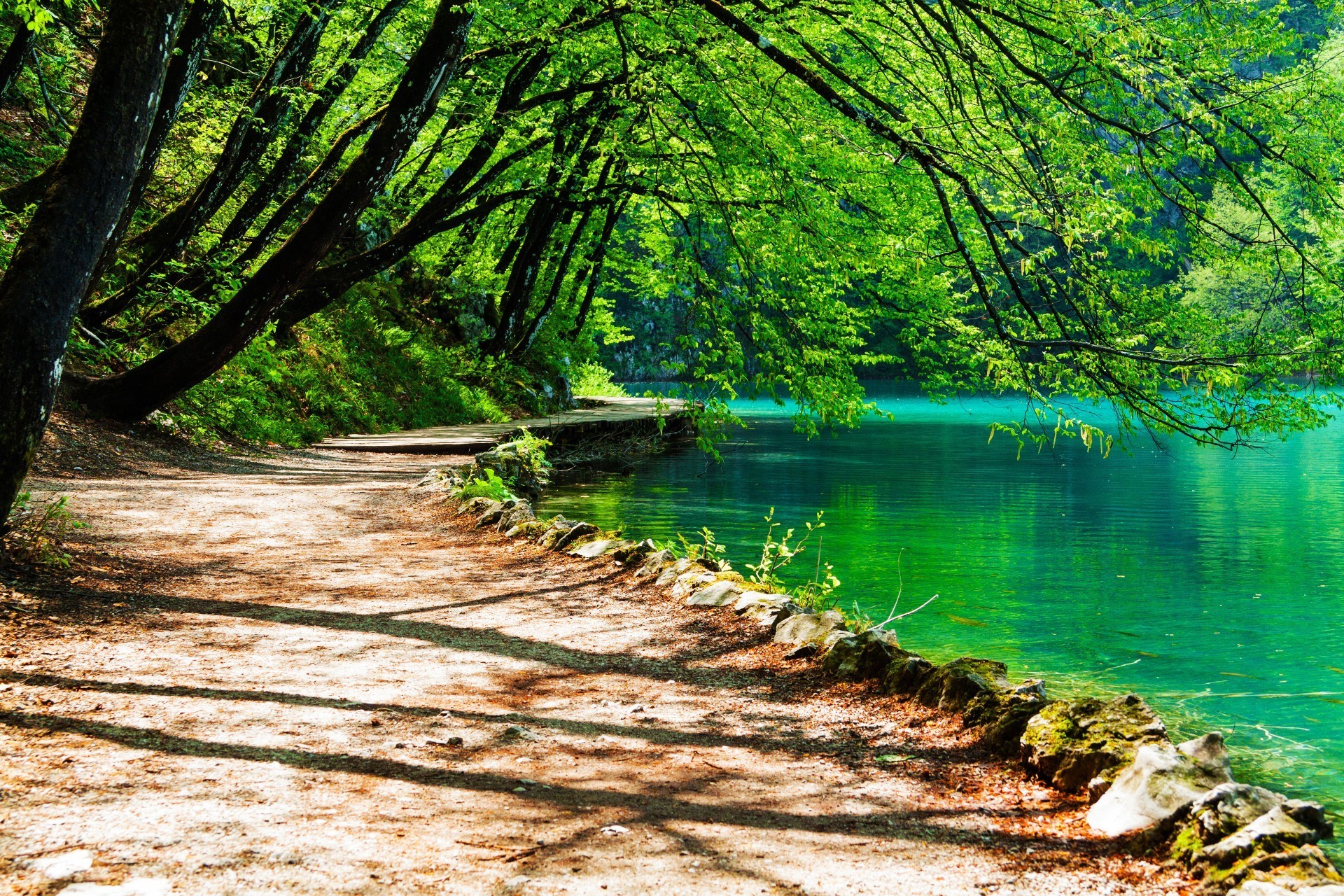 madeira natureza água árvore paisagem folha verão ao ar livre cênica bom tempo parque temporada viagem cenário compostura sol exuberante cena