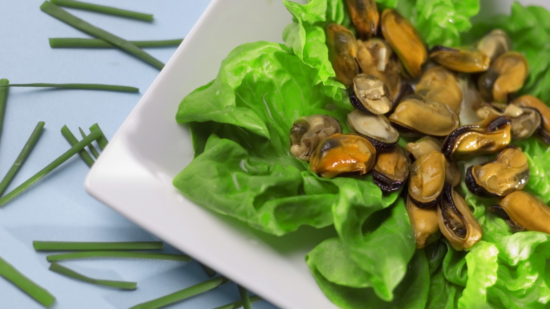 comida saudável vegetal comida cozinha folha cozinhar saúde dieta salada comida jantar close - up prato almoço delicioso epicuro desktop delicioso