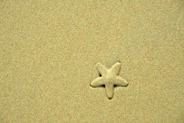 Foto colorida de uma estrela do mar na areia