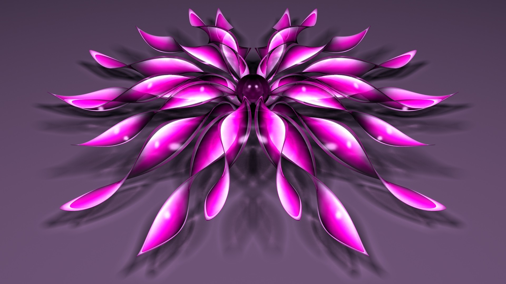 abstração decoração cor natureza desktop flor projeto bonita padrão vívido floral ilustração arte flora