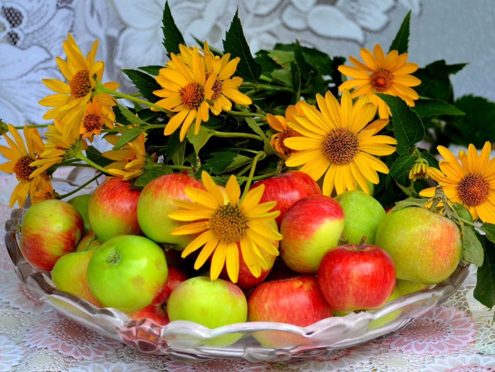 alimentos e bebidas folha frutas maçã natureza outono comida verão brilhante jardim
