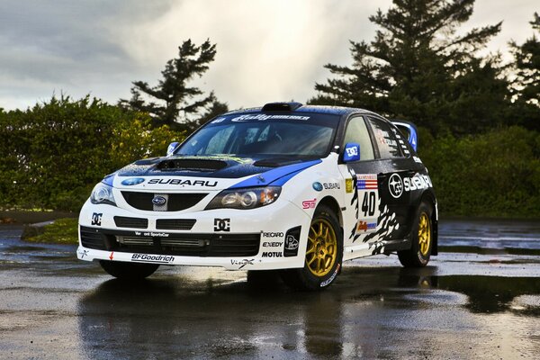 Esporte branco e preto carro de corrida Subaru