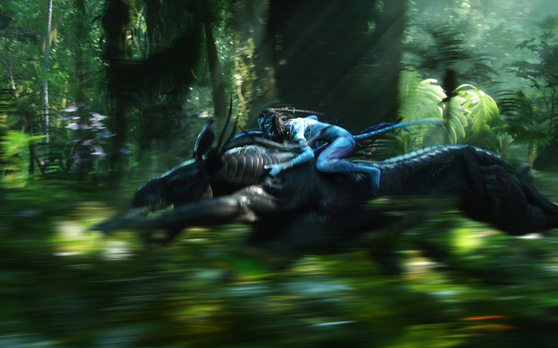 avatar lazer água debaixo d água natureza parque