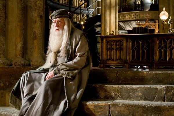 Diretor sábio da Escola Harry Potter