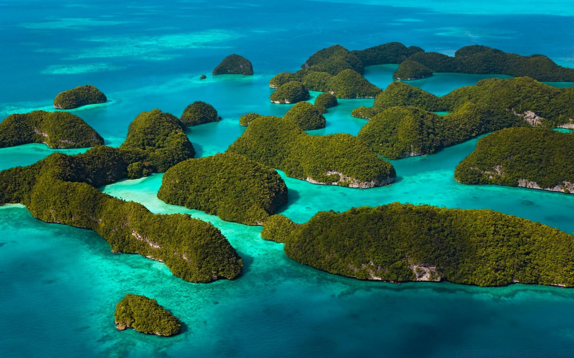 mar e oceano água debaixo d água oceano viagens mar paisagem tropical recife coral natureza turquesa paisagem ilha mar