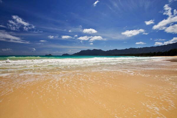 Praia de areia com céu azul