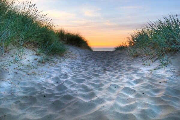 Caminho arenoso coberto de areia para o mar