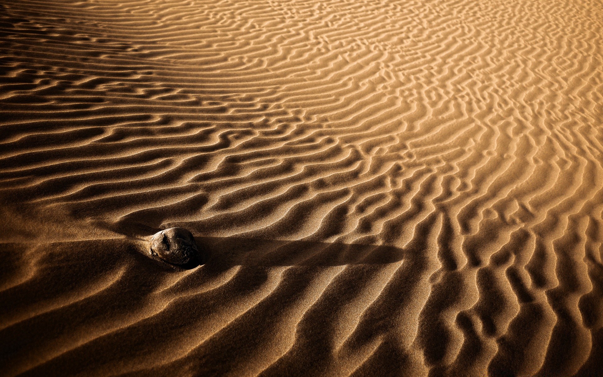 deserto areia praia estéril pegada um duna textura mar onda aride ondulação padrão seco desktop sombra