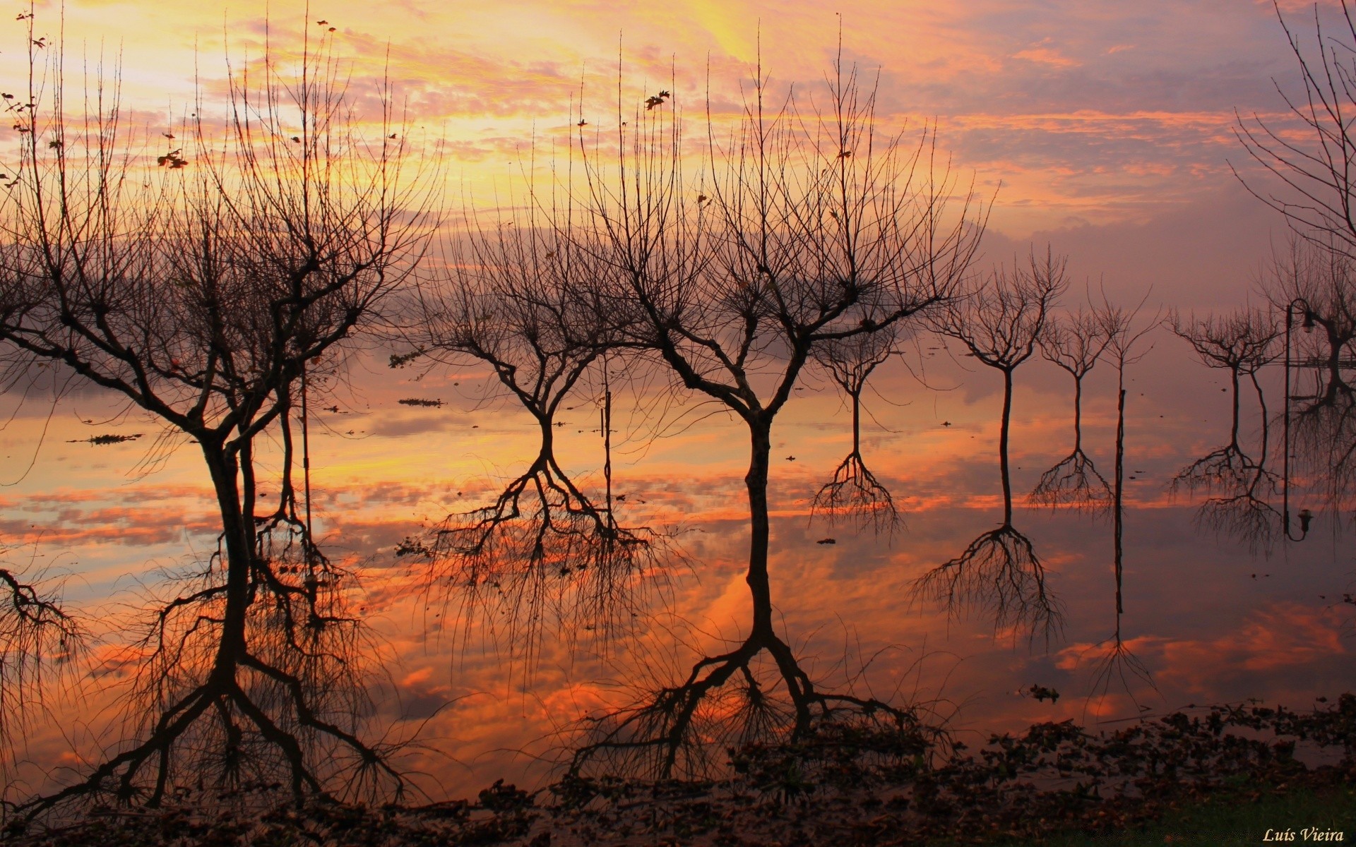 lagos pôr do sol amanhecer paisagem árvore natureza noite crepúsculo silhueta céu sol ambiente água ao ar livre outono madeira tempo