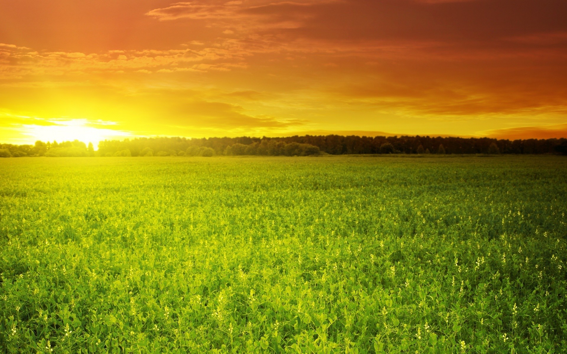 paisagens campo rural natureza paisagem agricultura sol campo verão bom tempo céu grama amanhecer fazenda feno ao ar livre brilhante flora pasto ambiente