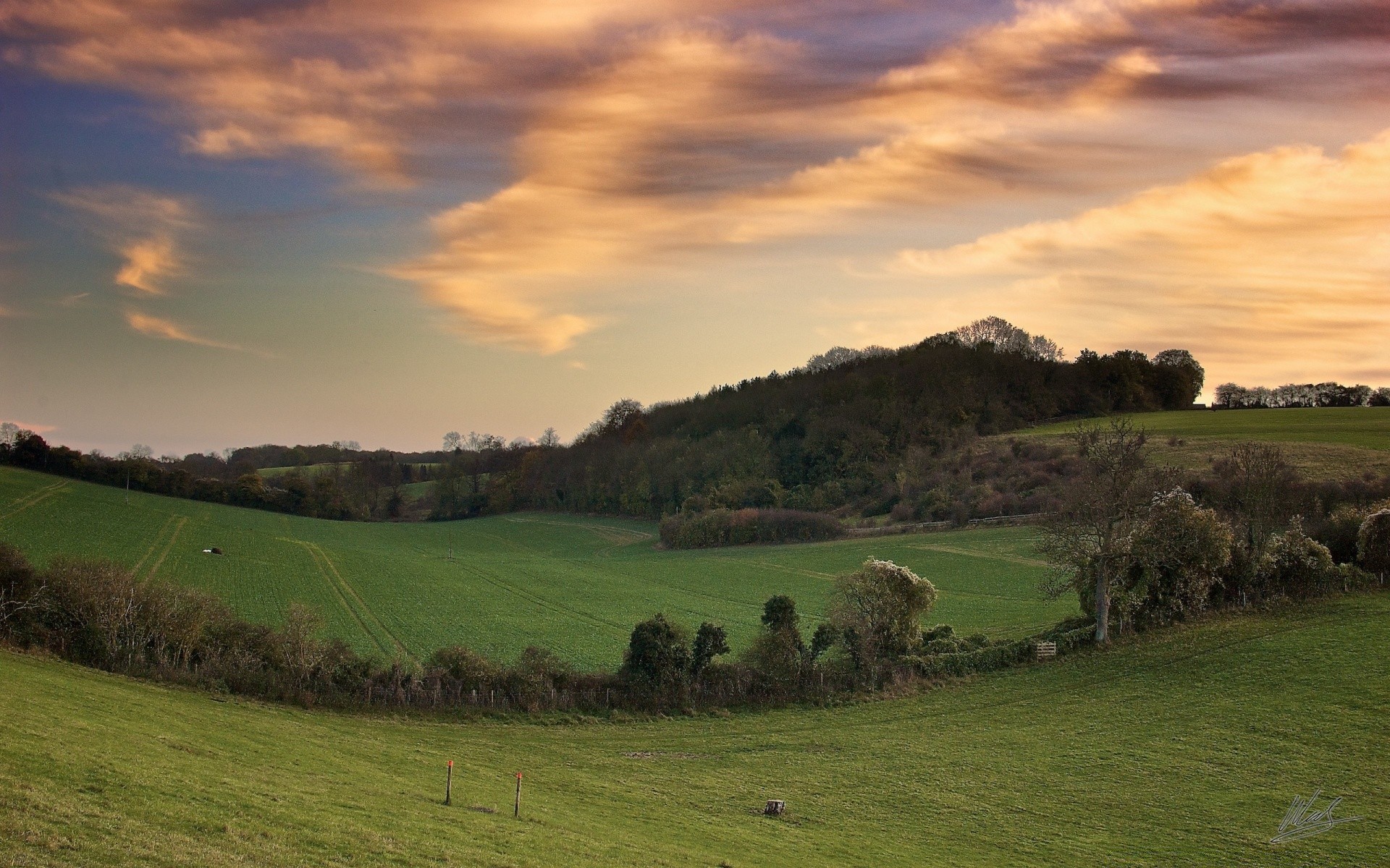 paisagens paisagem agricultura grama campo ao ar livre pastoral natureza árvore céu terras cultivadas rural ovelhas pastagem fazenda colina pôr do sol pastagem viajar feno