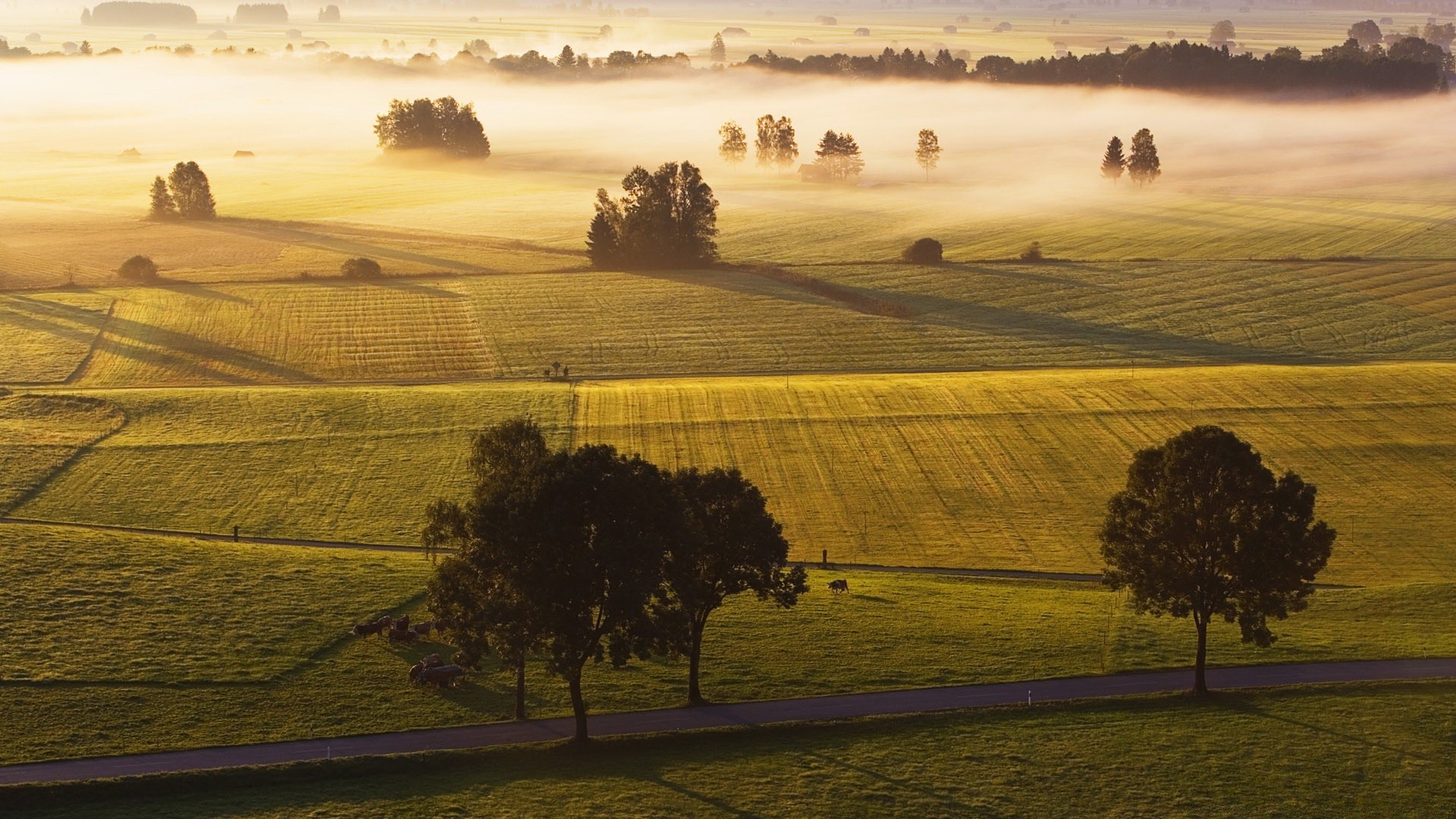 paisagens paisagem pôr do sol amanhecer noite árvore terras cultivadas colina agricultura campo ao ar livre fazenda pastoral luz céu cênica viagens cipreste sombra natureza