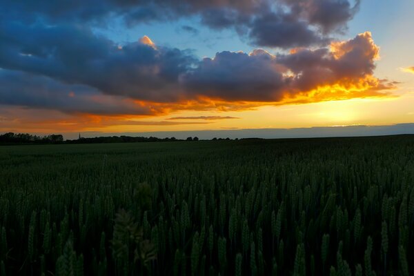 Acompanhe o pôr do sol conheça o amanhecer