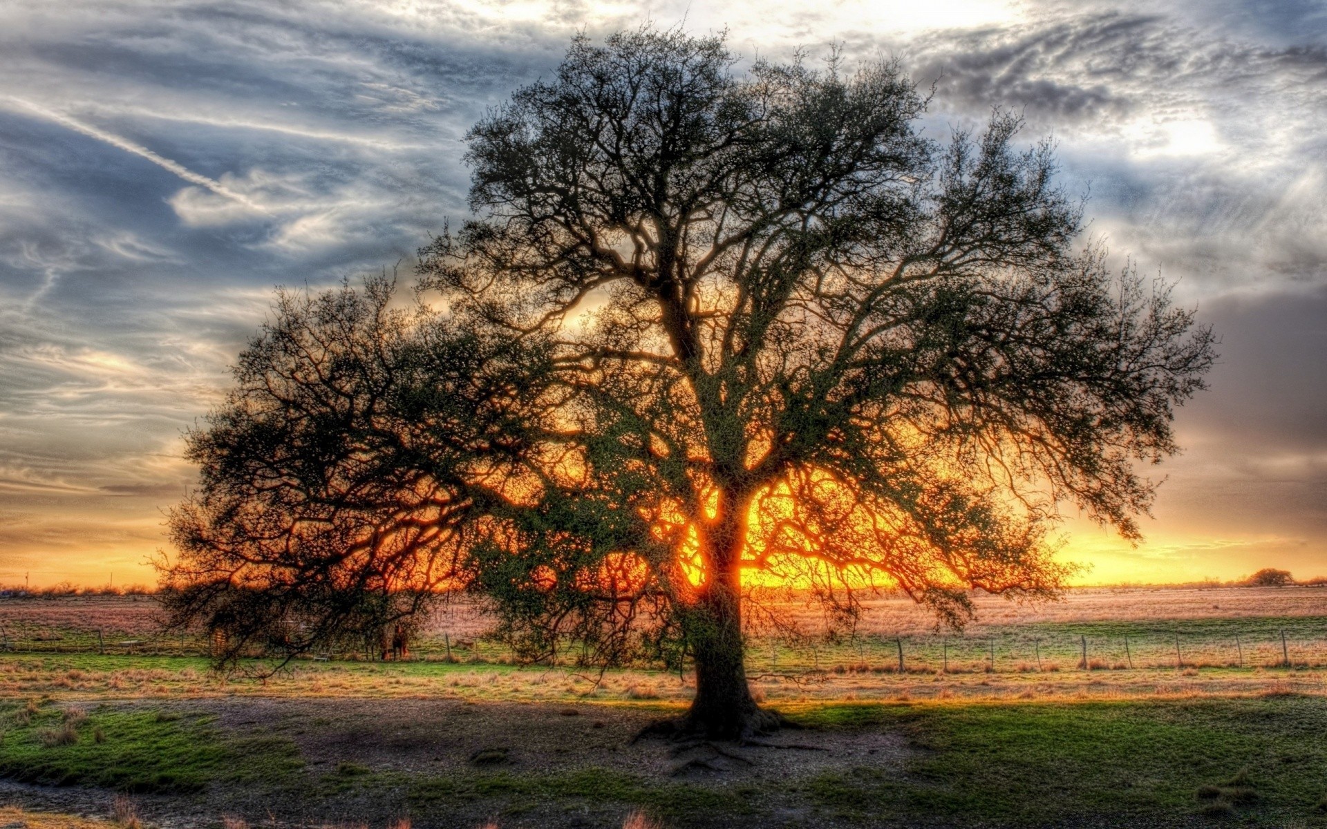 paisagens paisagem amanhecer árvore pôr do sol natureza sol outono céu bom tempo rural campo grama ao ar livre madeira luz à noite