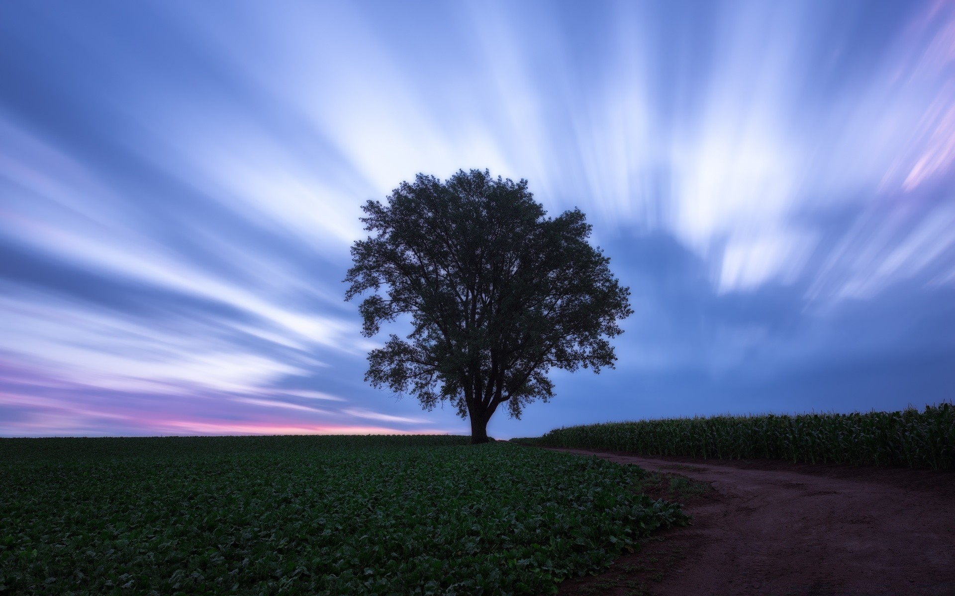 céu paisagem natureza sol árvore céu amanhecer pôr do sol zona rural bom tempo rural ao ar livre grama campo luz noite verão