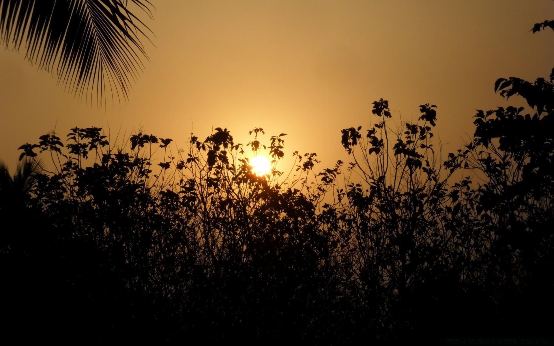 céu silhueta pôr do sol sol amanhecer iluminado árvore natureza noite crepúsculo paisagem céu ao ar livre verão luz pássaro